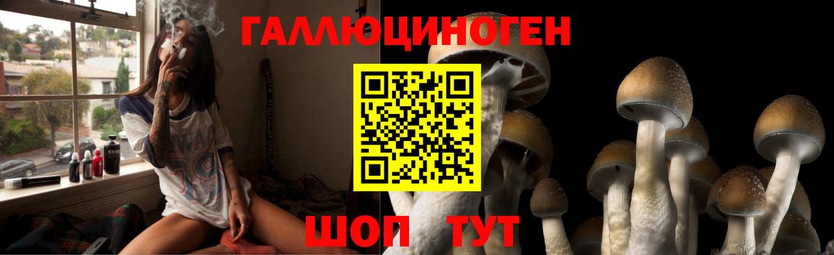 магазин продажи   Псилоцибиновые грибы Psilocybine cubensis  Вход с VPN  Барабинск 